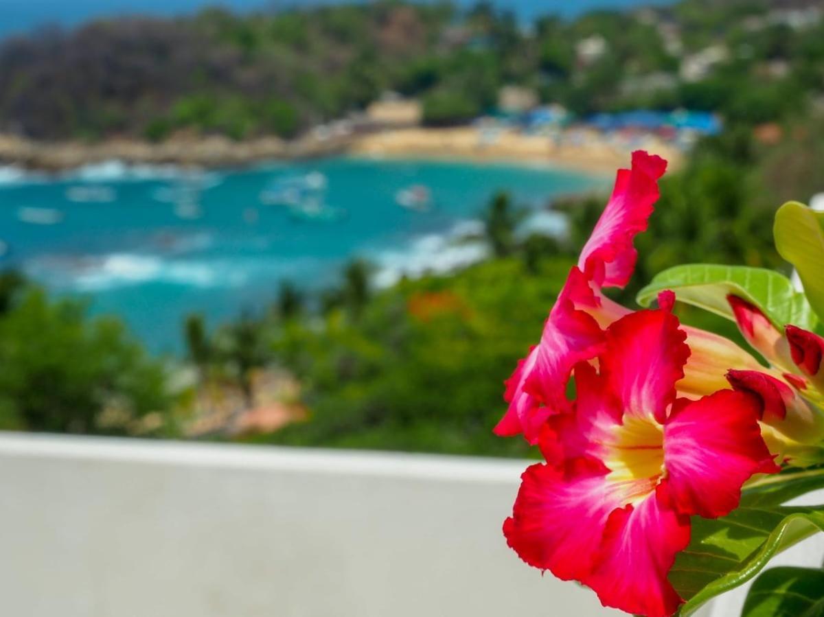 Casa Cascada - Adults Only Hotel Puerto Escondido  Ngoại thất bức ảnh